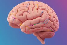 Decoding Dopamine: How Your Brain Chemistry Shapes Daily Joy (And How to Hack It)