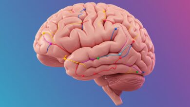 Decoding Dopamine: How Your Brain Chemistry Shapes Daily Joy (And How to Hack It)