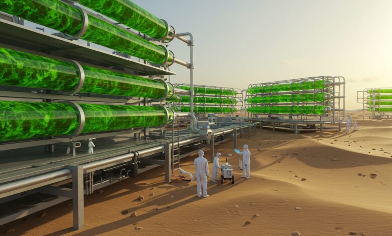 The Algae Bloom Renaissance: Tiny Solutions for a Warming Planet